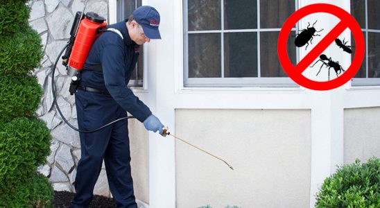 Kaynaklar Böcek İlaçlama böcek ilaçlama ve haşere kontrolü — ilaclama-tr.com